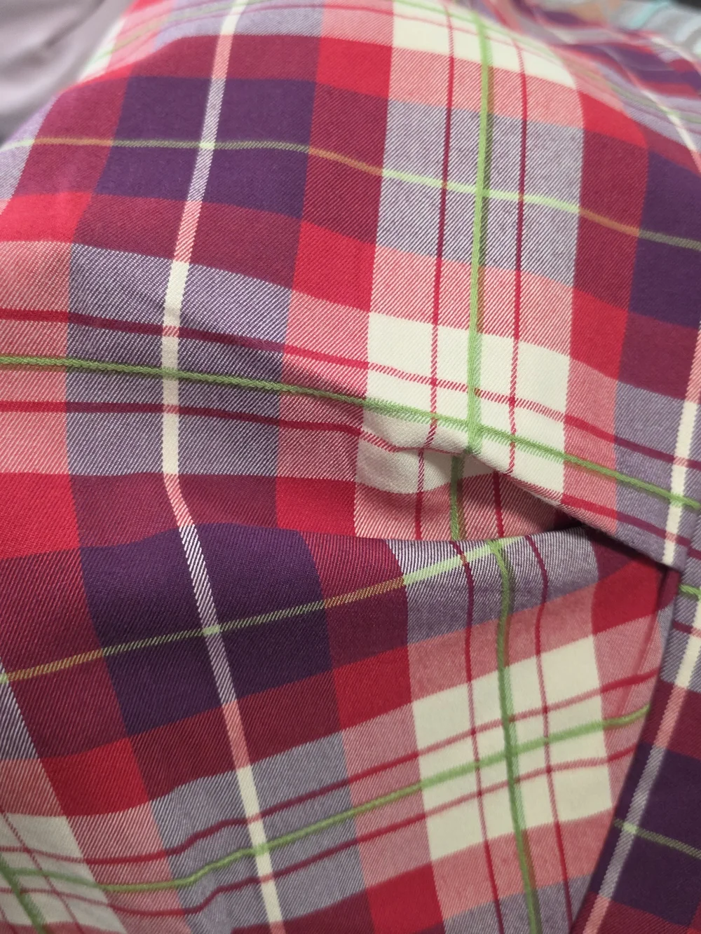 NWT Free People Nice Choice textured Plaid pull-on trousers.
